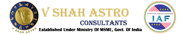 V Shah Astro Consultancy